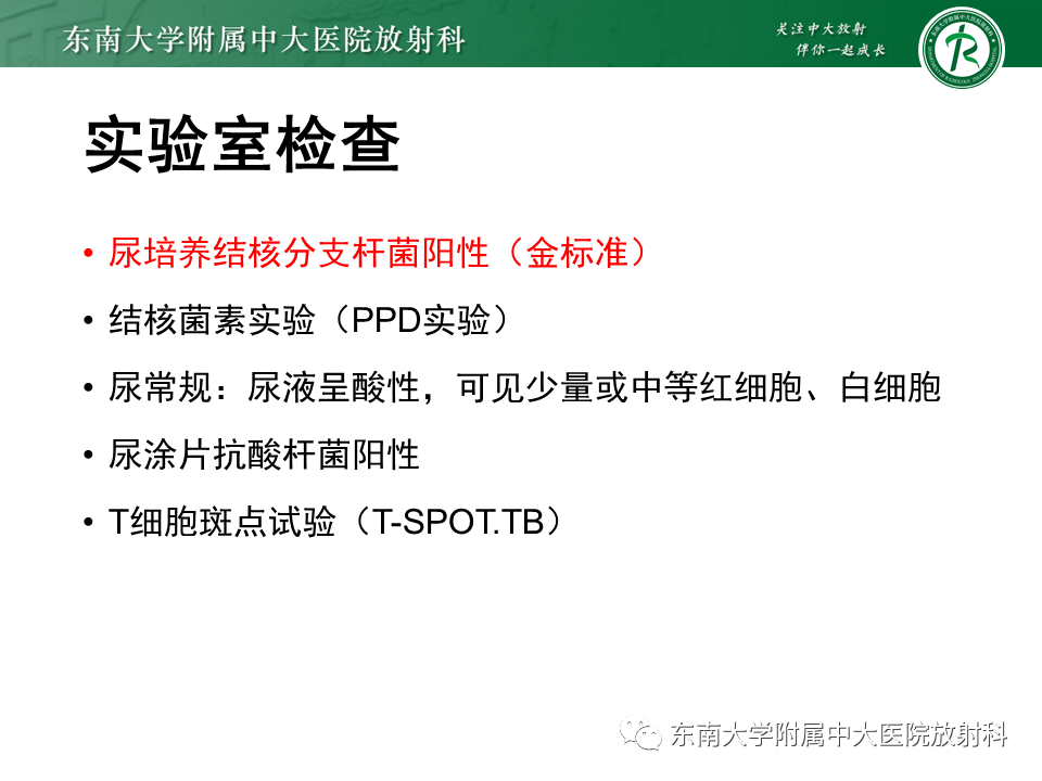 影像PPT - 【PPT】肾结核的影像诊断-12