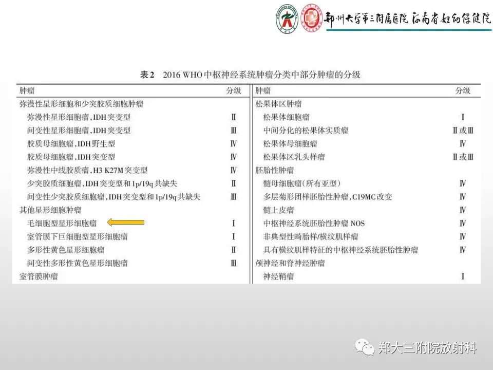 影像PPT - 【PPT】毛细胞星形细胞瘤的影像诊断-3