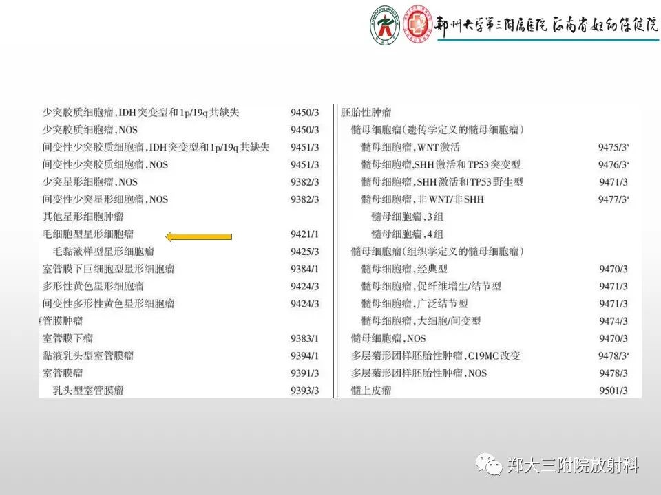 影像PPT - 【PPT】毛细胞星形细胞瘤的影像诊断-2