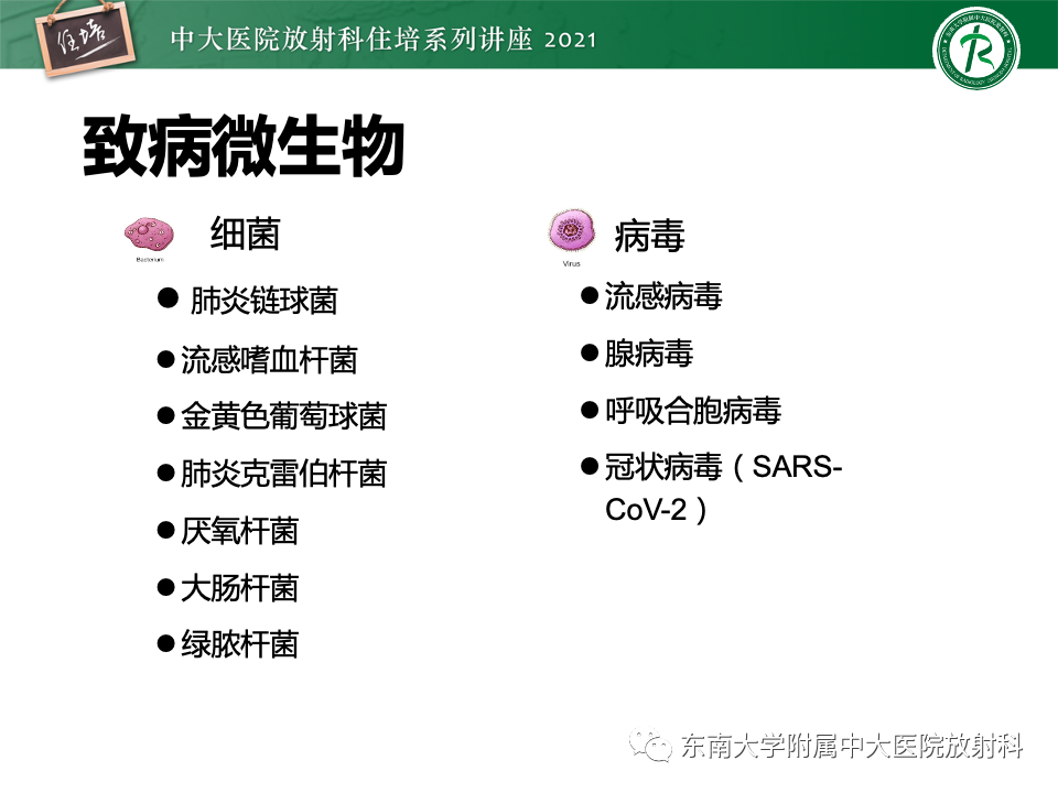 影像PPT - 【PPT】常见细菌性肺炎与病毒性肺炎的鉴别诊断（以COVID-19为例）-4