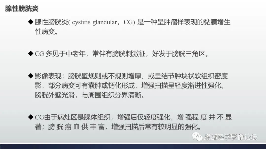 影像PPT - 【病例】膀胱子宫内膜异位症伴腺性膀胱炎1例CT影像-14