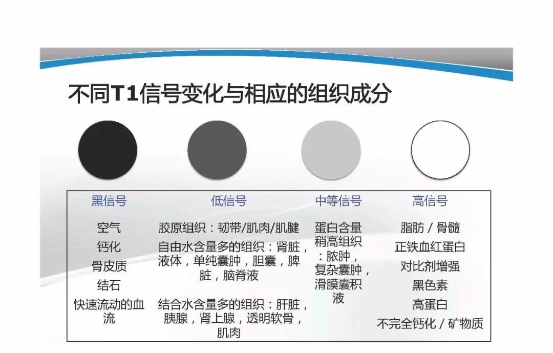 影像PPT - 【PPT】T1WI信号分析与颅内病变图像判读-8