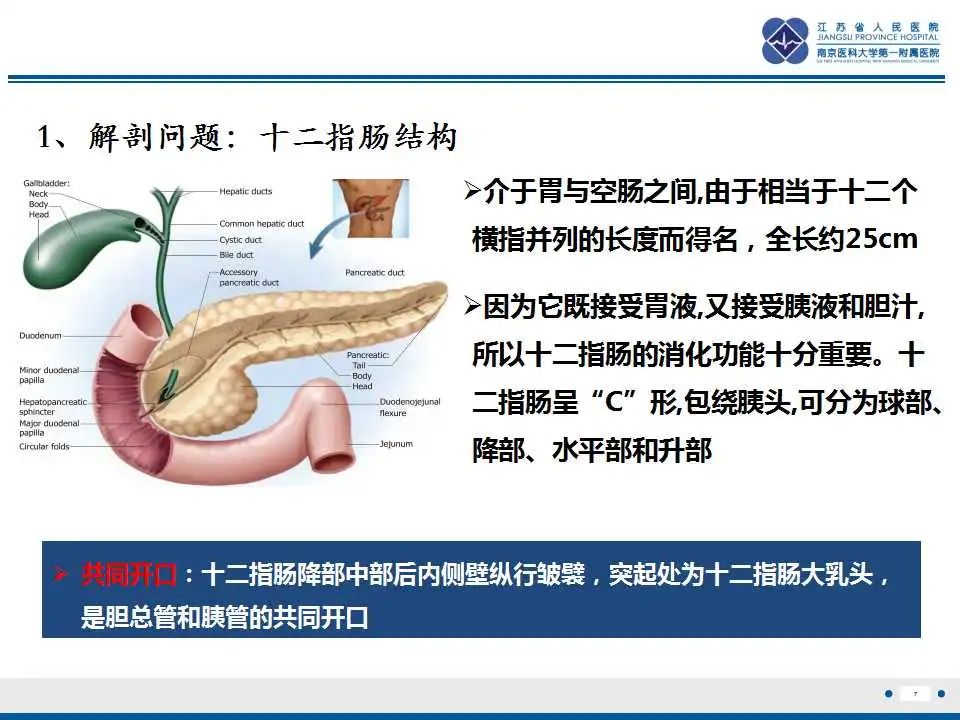 影像PPT - 【PPT】十二指肠乳头旁憩室综合征-8