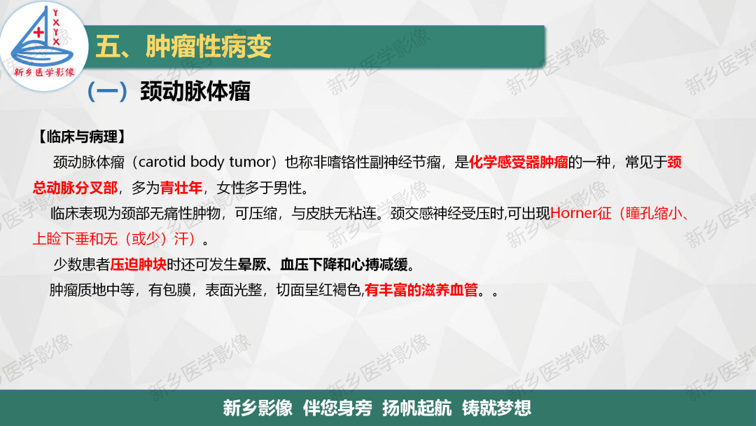 影像PPT - 【PPT】医学影像诊断学教材解读—颈部疾病-10