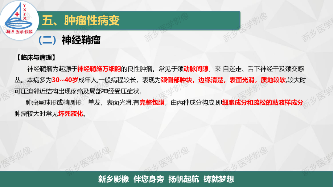 影像PPT - 【PPT】医学影像诊断学教材解读—颈部疾病-13