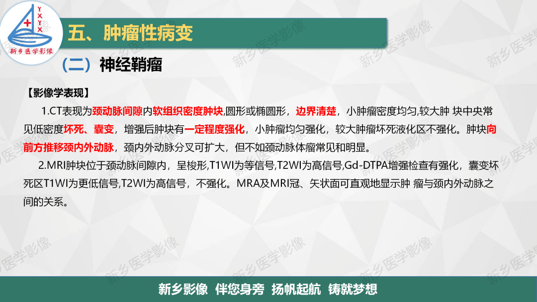 影像PPT - 【PPT】医学影像诊断学教材解读—颈部疾病-14