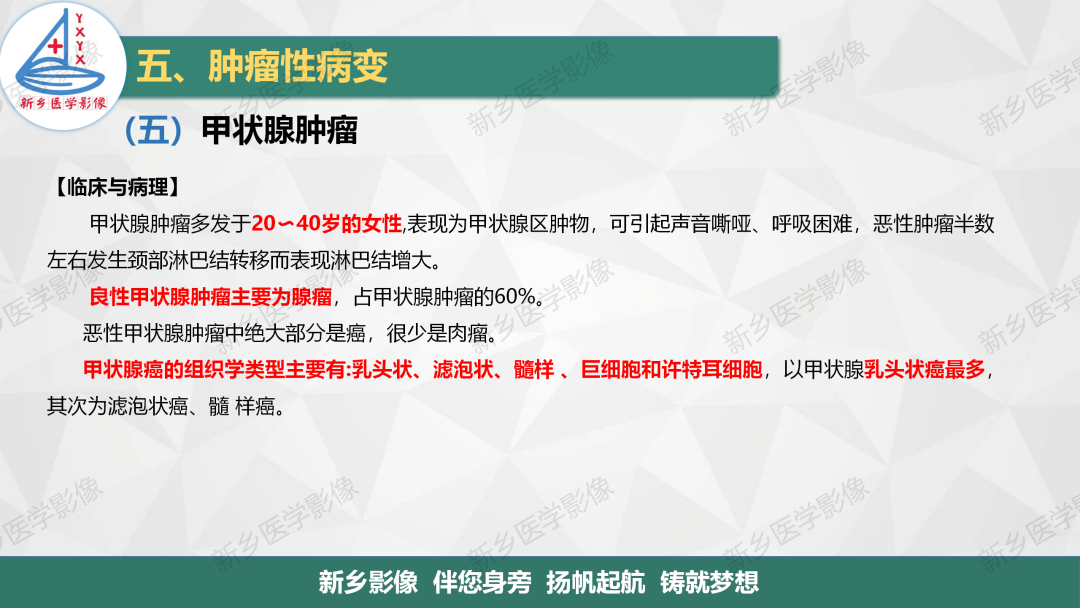 影像PPT - 【PPT】医学影像诊断学教材解读—颈部疾病-22