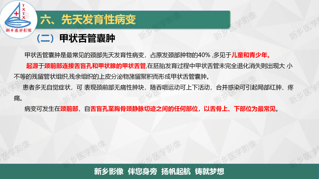 影像PPT - 【PPT】医学影像诊断学教材解读—颈部疾病-31