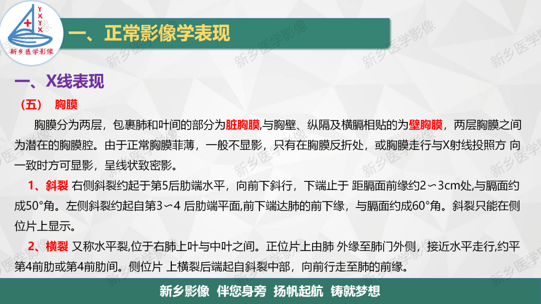 影像PPT - 【PPT】医学影像诊断学教材解读—呼吸系统疾病-24