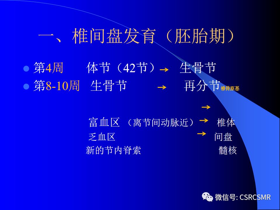 影像PPT - 【PPT】椎间盘发育、退变与病变MRI表现-2