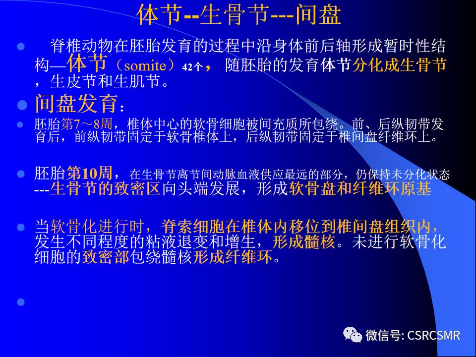 影像PPT - 【PPT】椎间盘发育、退变与病变MRI表现-5