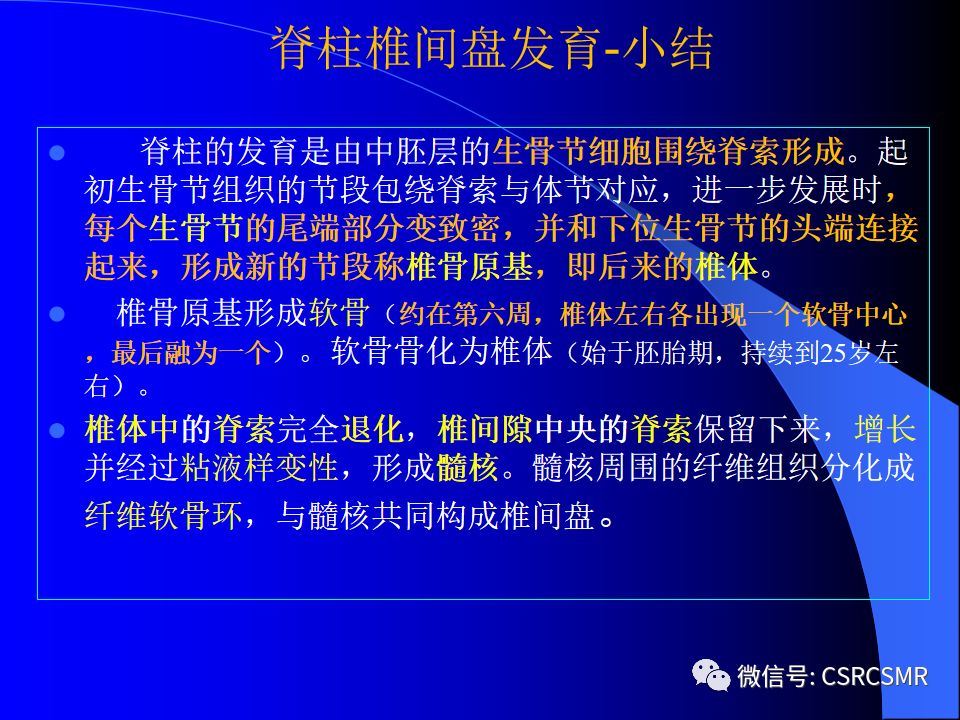 影像PPT - 【PPT】椎间盘发育、退变与病变MRI表现-12