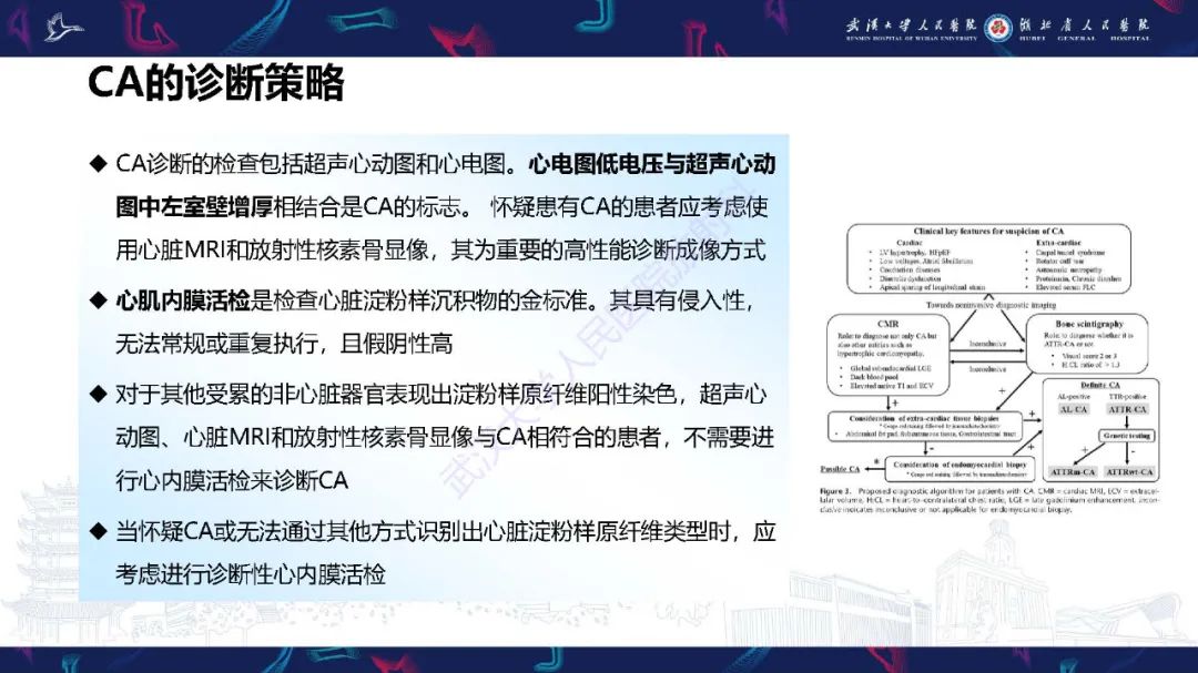 影像PPT - 【PPT】心肌淀粉样变影像诊断-12