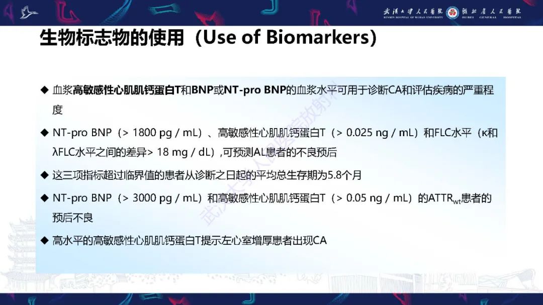 影像PPT - 【PPT】心肌淀粉样变影像诊断-13