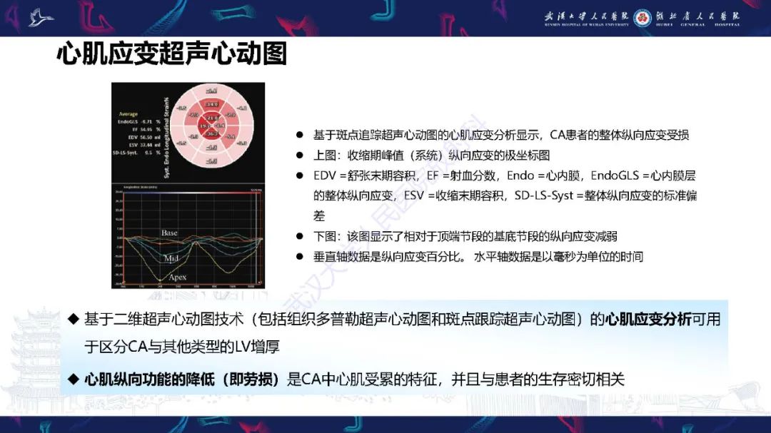 影像PPT - 【PPT】心肌淀粉样变影像诊断-16