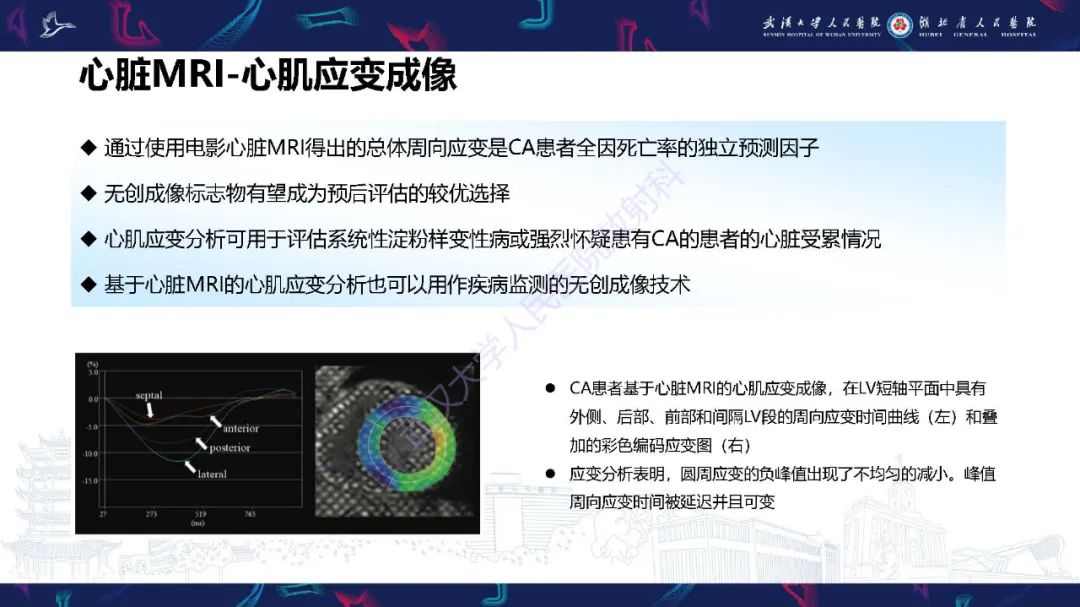 影像PPT - 【PPT】心肌淀粉样变影像诊断-30