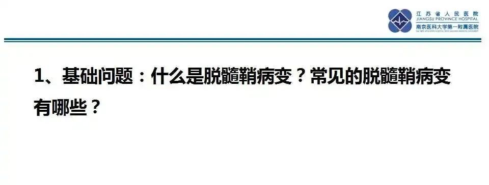 影像PPT - 【PPT】急性播散性脑脊髓炎的影像-14