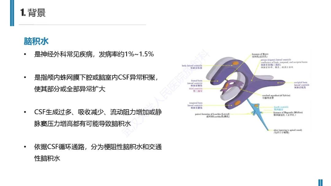 影像PPT - 【PPT】梗阻性脑积水MRI诊断-3