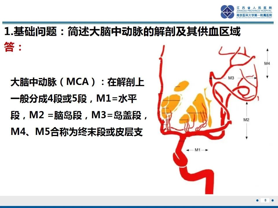 影像PPT - 【PPT】颈动脉蹼-10