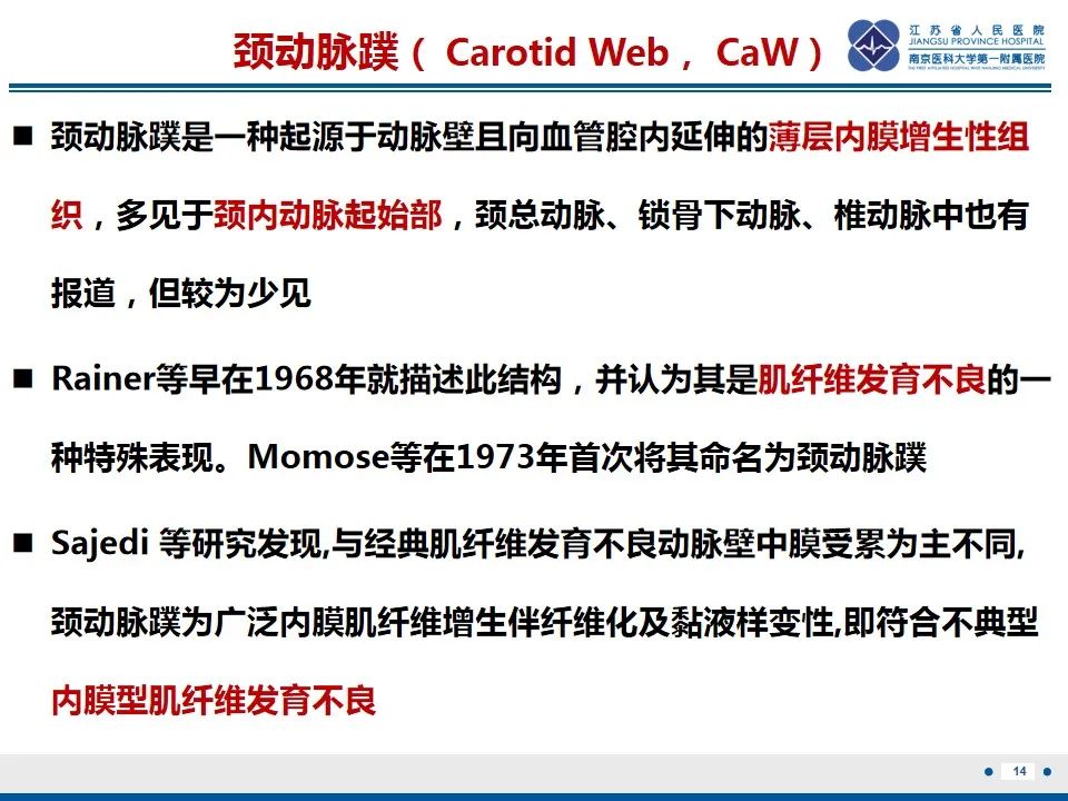 影像PPT - 【PPT】颈动脉蹼-16