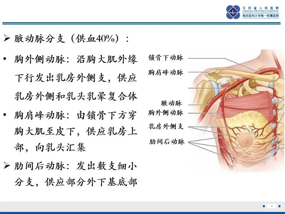 影像PPT - 【PPT】乳腺转移瘤-15