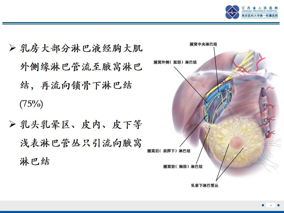 影像PPT - 【PPT】乳腺转移瘤-17
