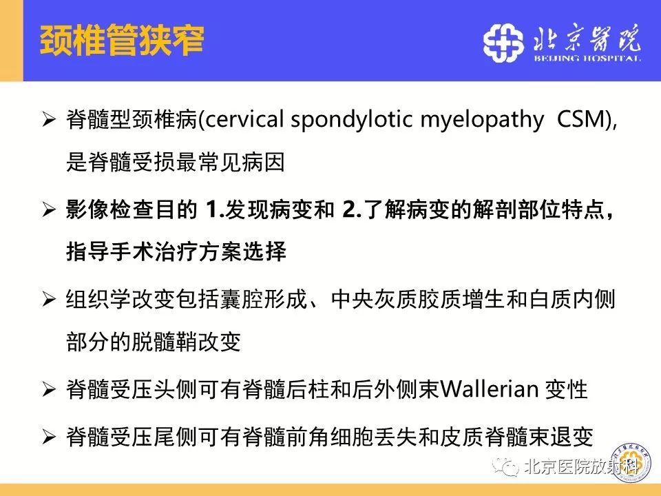 影像PPT - 【PPT】椎管狭窄的影像学检查-57