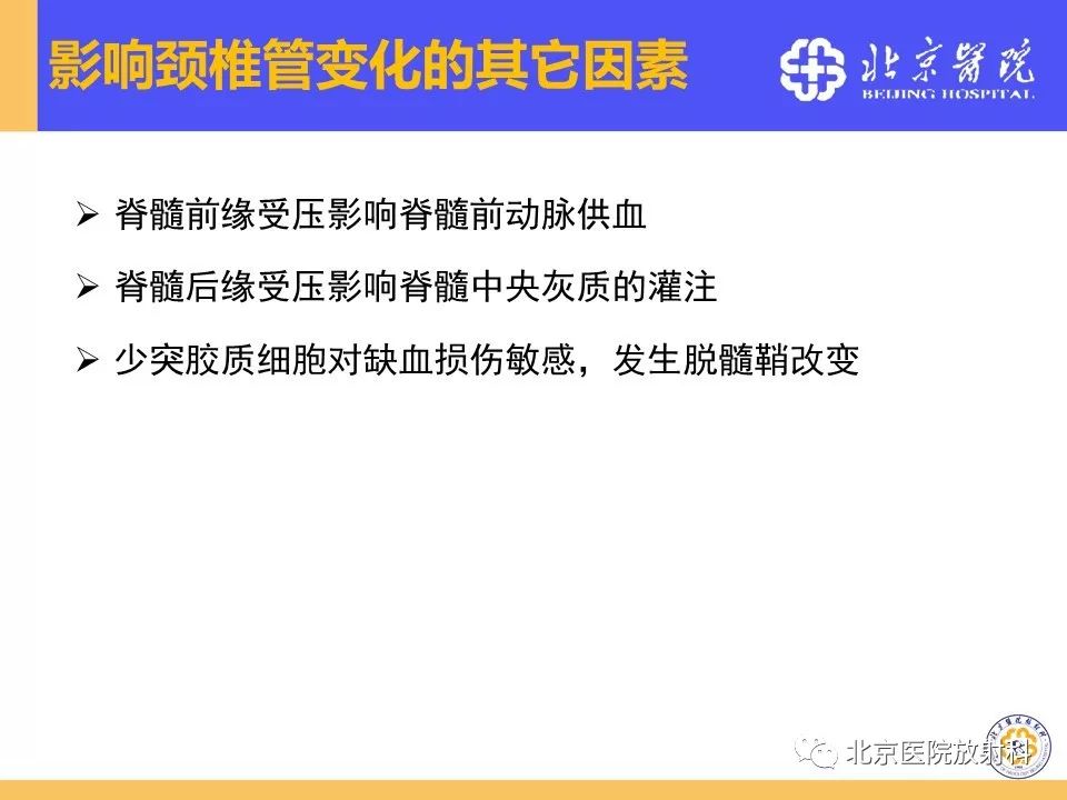影像PPT - 【PPT】椎管狭窄的影像学检查-59