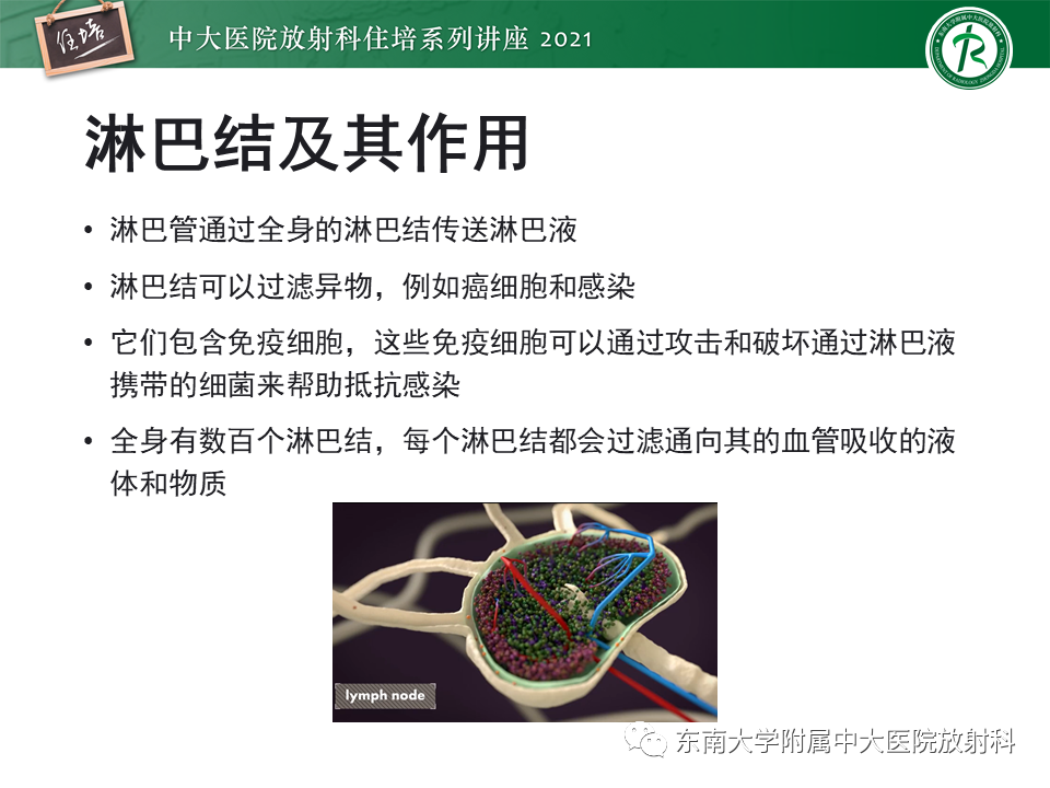 影像PPT - 【PPT】腹部淋巴结分区及影像分析-6
