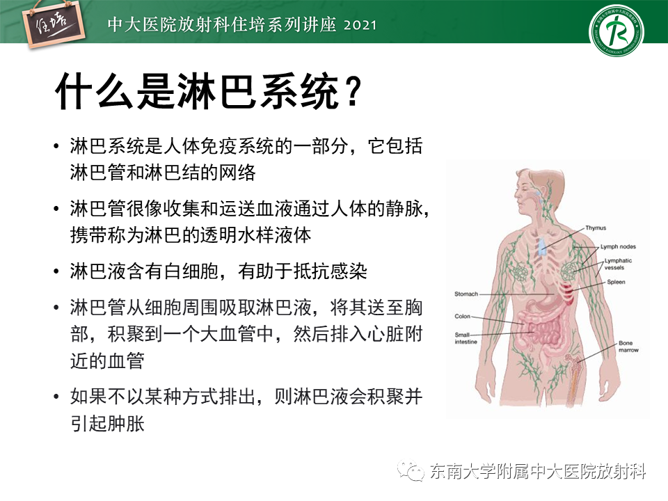 影像PPT - 【PPT】腹部淋巴结分区及影像分析-5