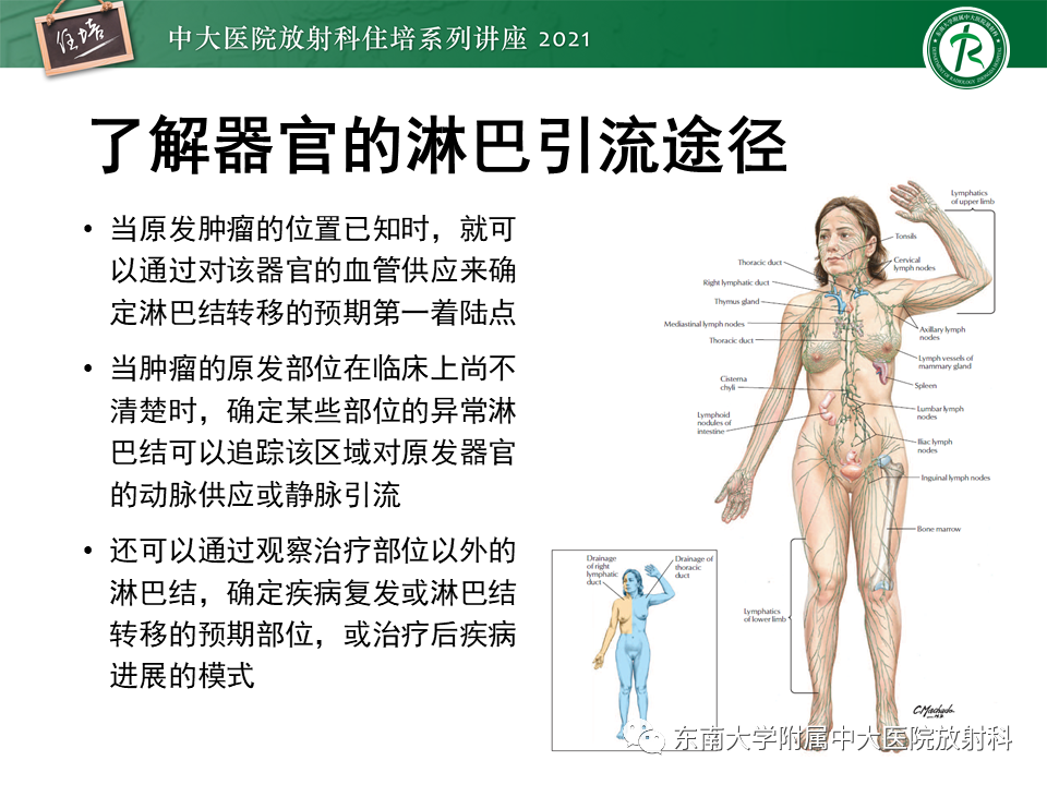 影像PPT - 【PPT】腹部淋巴结分区及影像分析-7