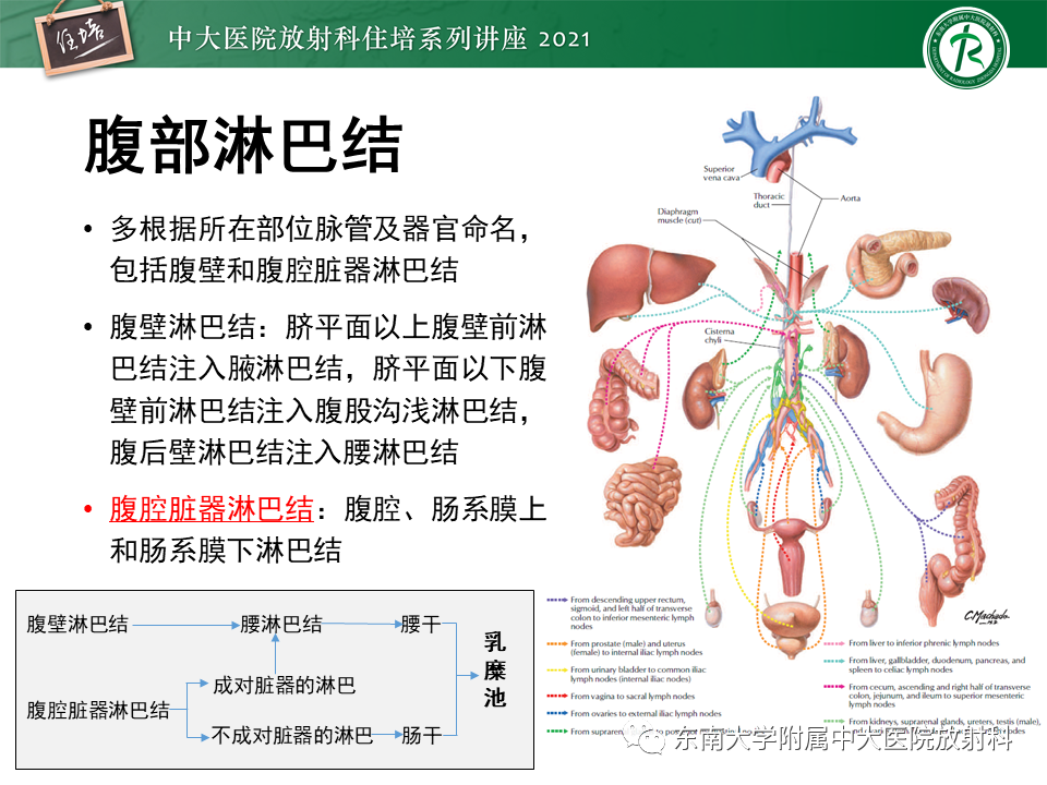影像PPT - 【PPT】腹部淋巴结分区及影像分析-8