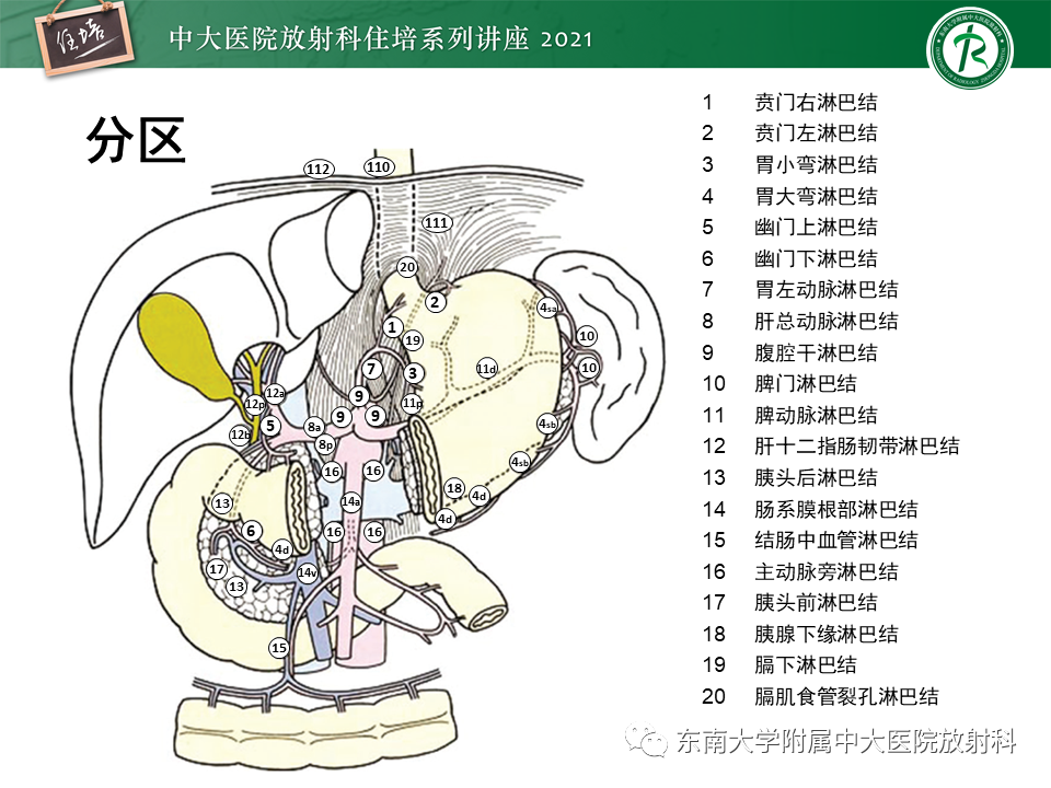 影像PPT - 【PPT】腹部淋巴结分区及影像分析-11