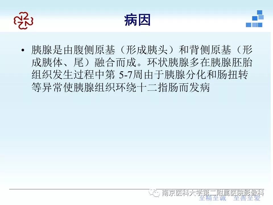 影像PPT - 【PPT】成人环状胰腺-6