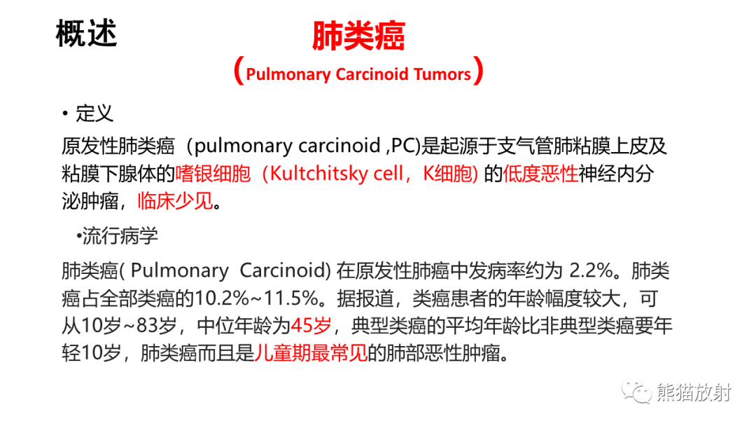 影像PPT - 【PPT】肺类癌2例CT影像-23