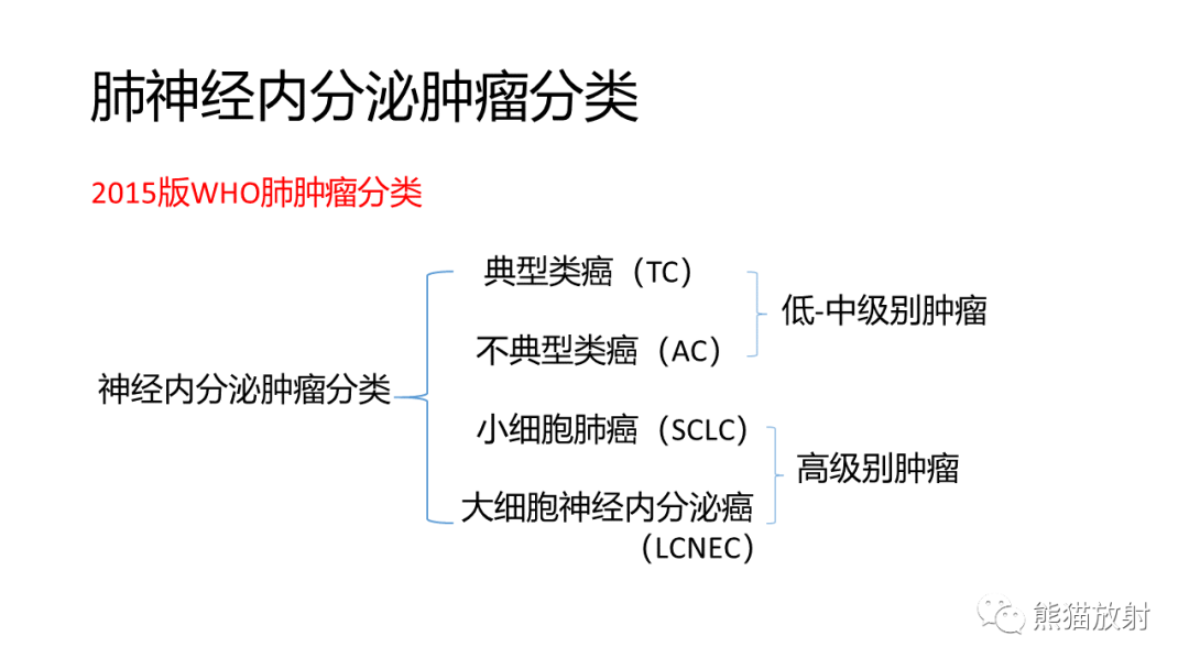 影像PPT - 【PPT】肺类癌2例CT影像-24