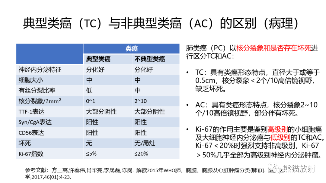 影像PPT - 【PPT】肺类癌2例CT影像-26