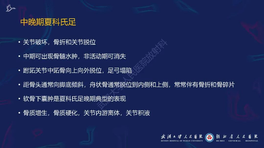 影像PPT - 【PPT】夏科氏足影像诊断-17