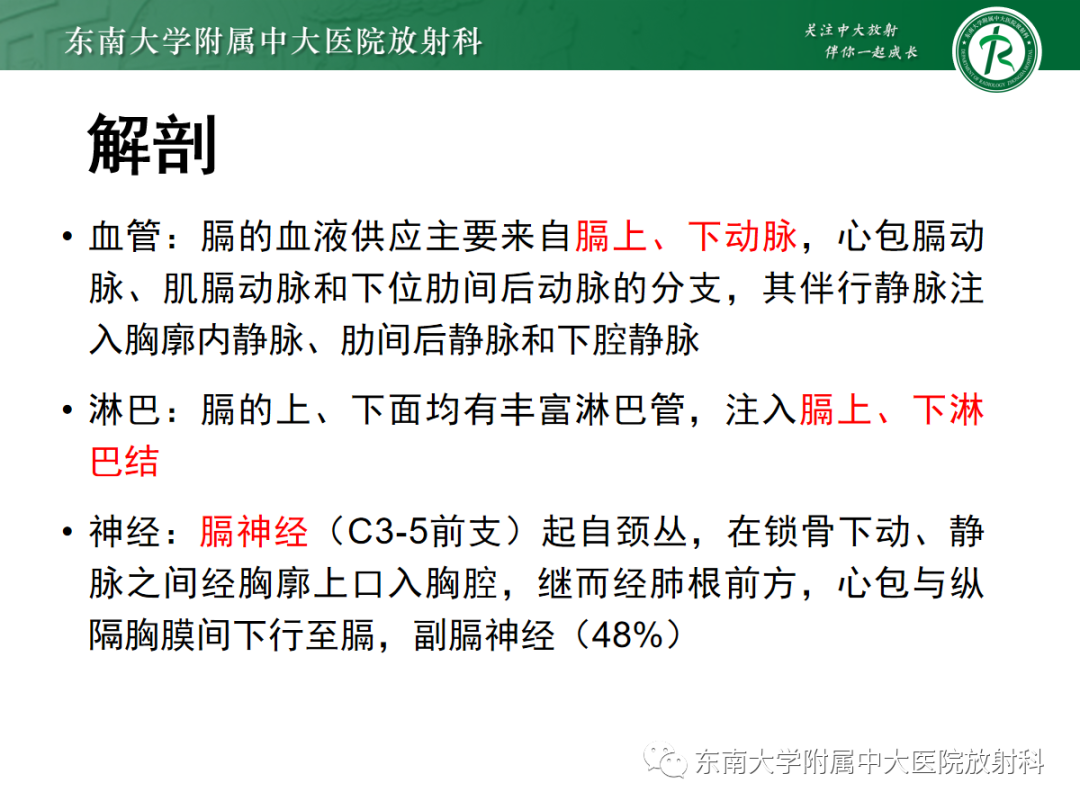 影像PPT - 【PPT】膈肌相关病变-6