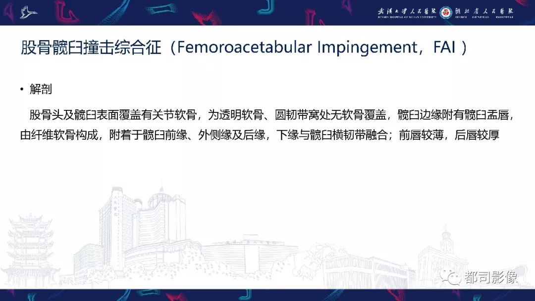影像PPT - 【PPT】儿童、青少年髋部和下肢异常影像学诊断-23