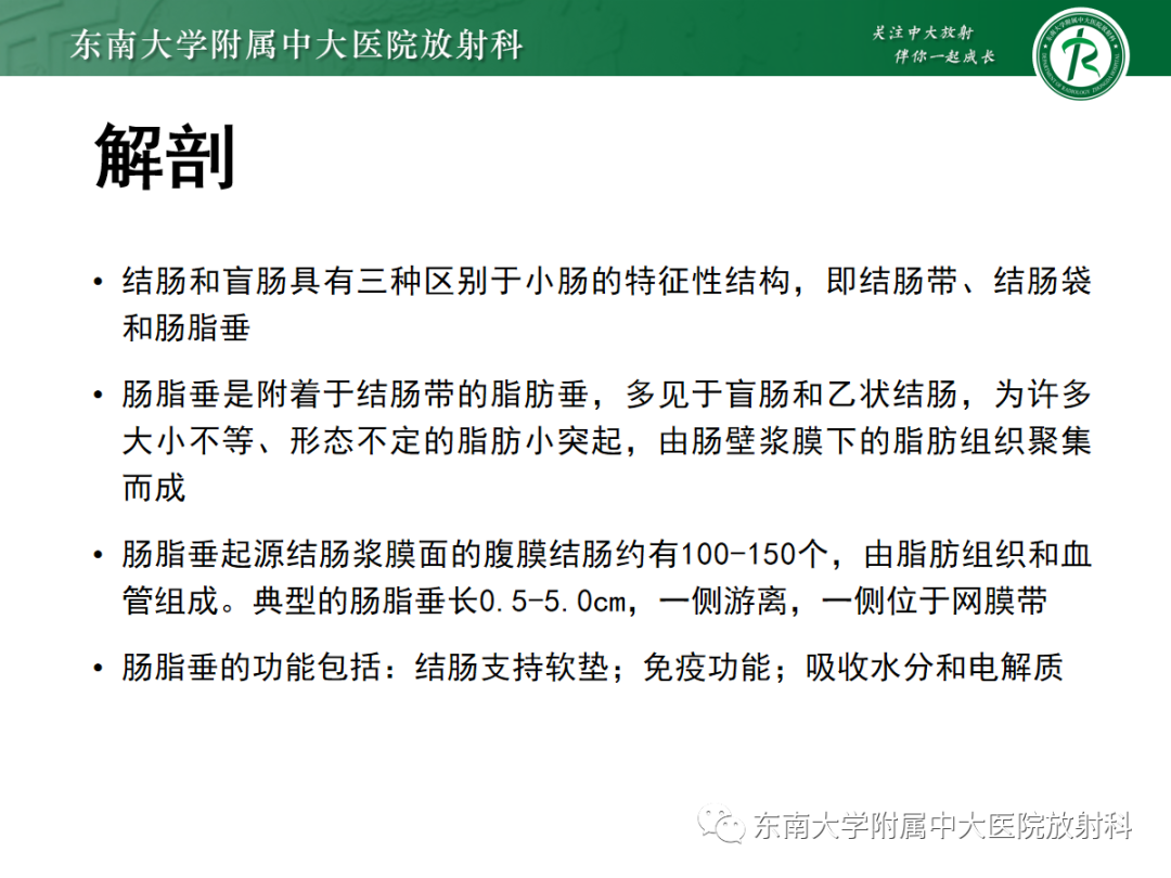 影像PPT - 【PPT】原发性肠脂垂炎-5
