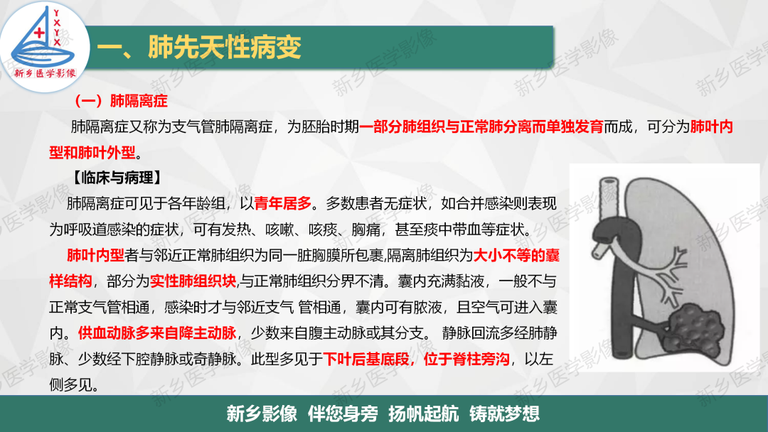 影像PPT - 【PPT】医学影像诊断学教材解读—肺部病变-3