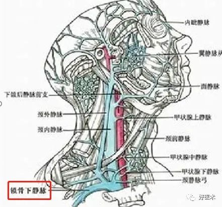 影像PPT - 血管解剖、起止点高清图-25 影像PPT - 血管解剖、起止点高清图-25