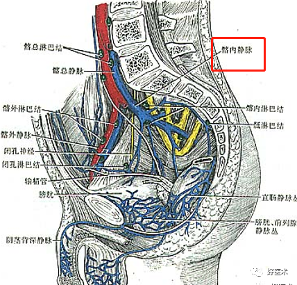 影像PPT - 血管解剖、起止点高清图-27 影像PPT - 血管解剖、起止点高清图-27