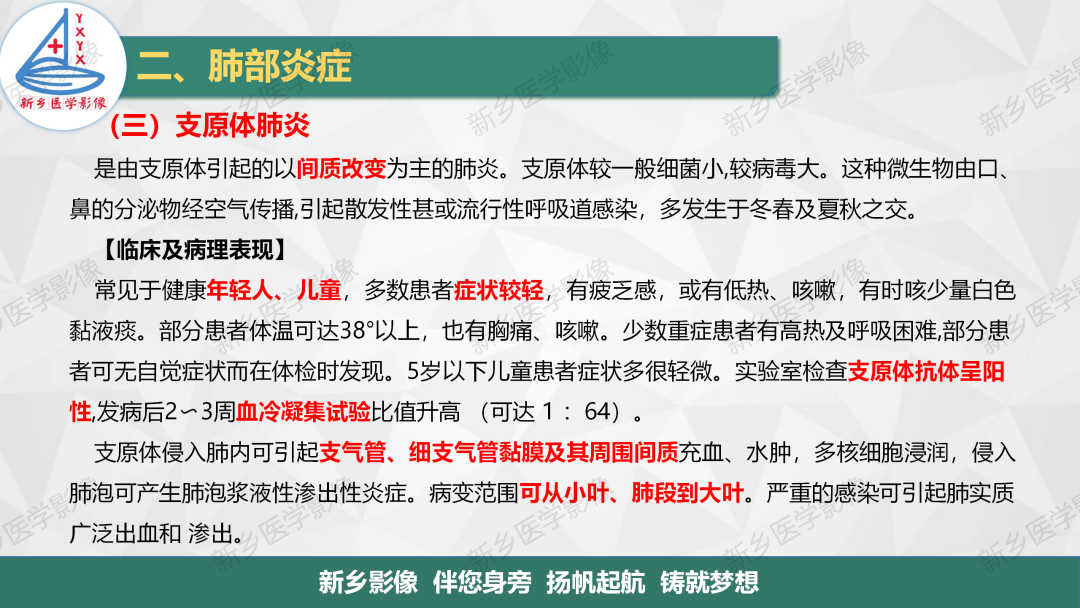 影像PPT - 【PPT】医学影像诊断学教材解读—肺部病变2-13
