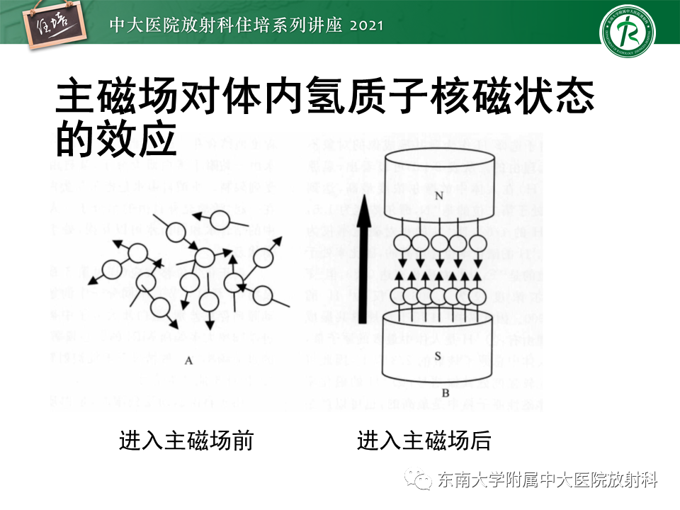 影像PPT - 【PPT】磁共振加权成像的实现-2
