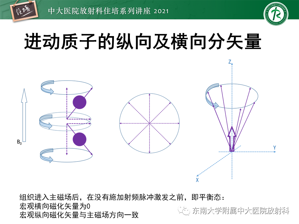影像PPT - 【PPT】磁共振加权成像的实现-5