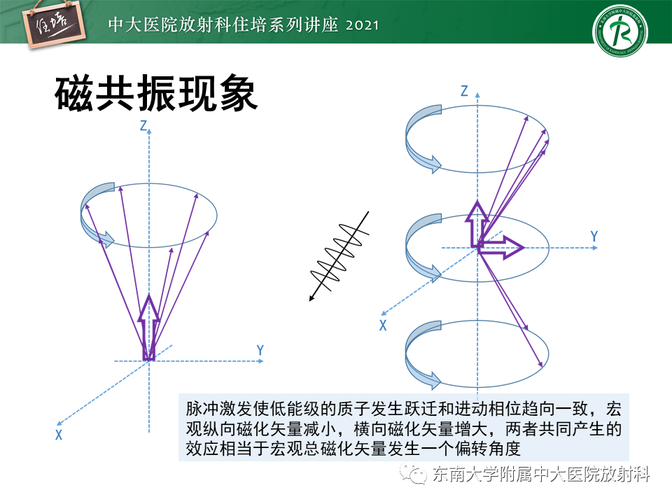 影像PPT - 【PPT】磁共振加权成像的实现-6
