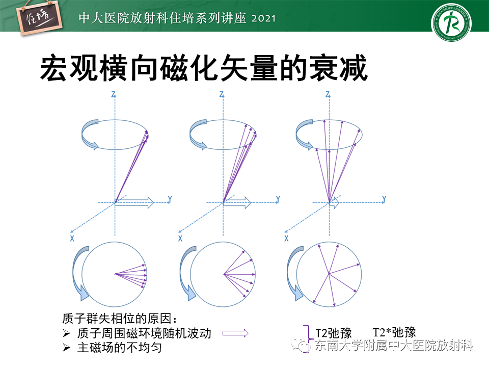 影像PPT - 【PPT】磁共振加权成像的实现-9