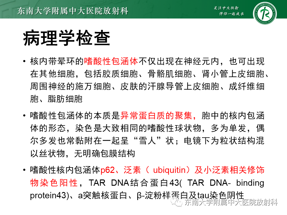 影像PPT - 【PPT】神经元核内包涵体病-7